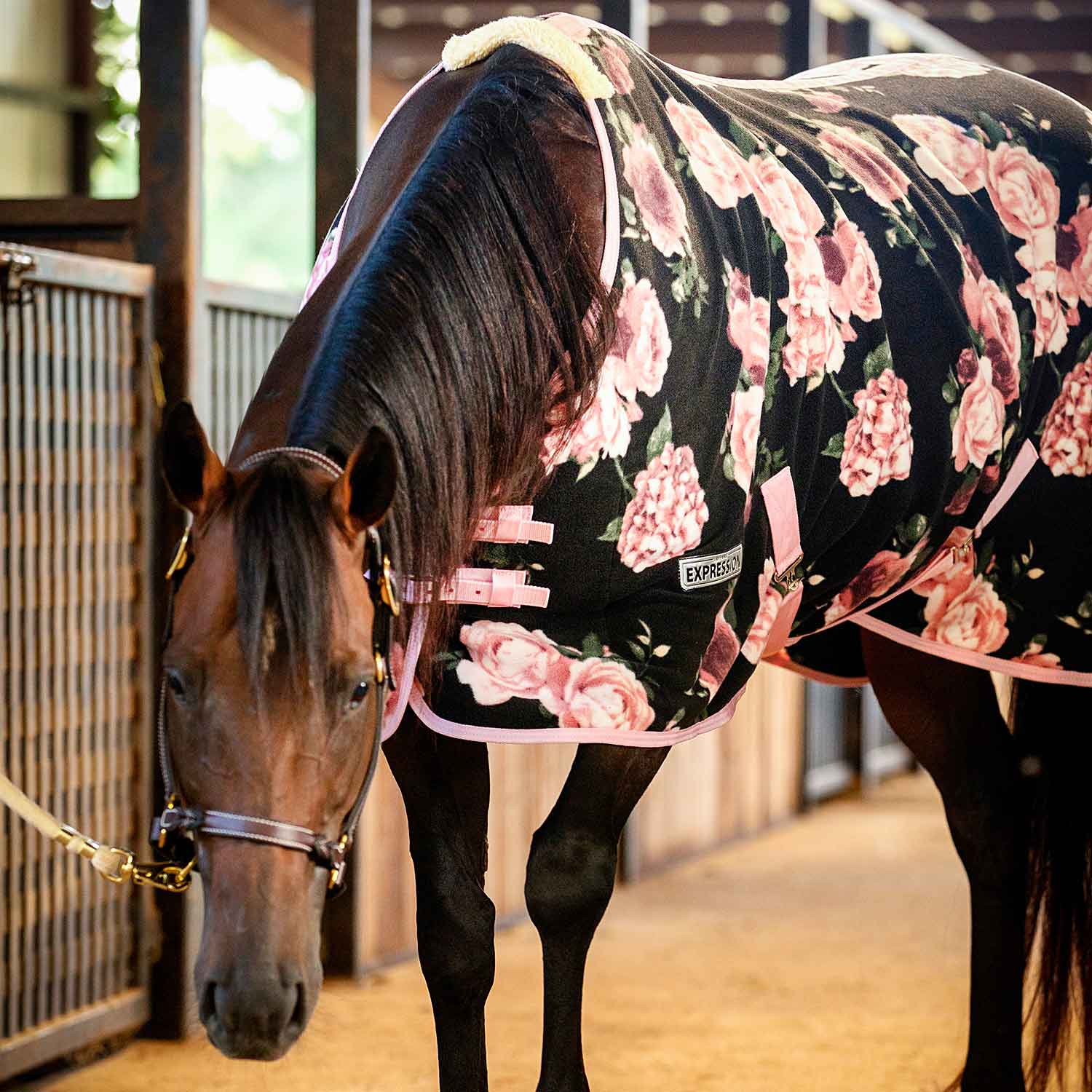 Jeffers Expression Standard Neck Fleece Horse Cooler - Pick Your Design!