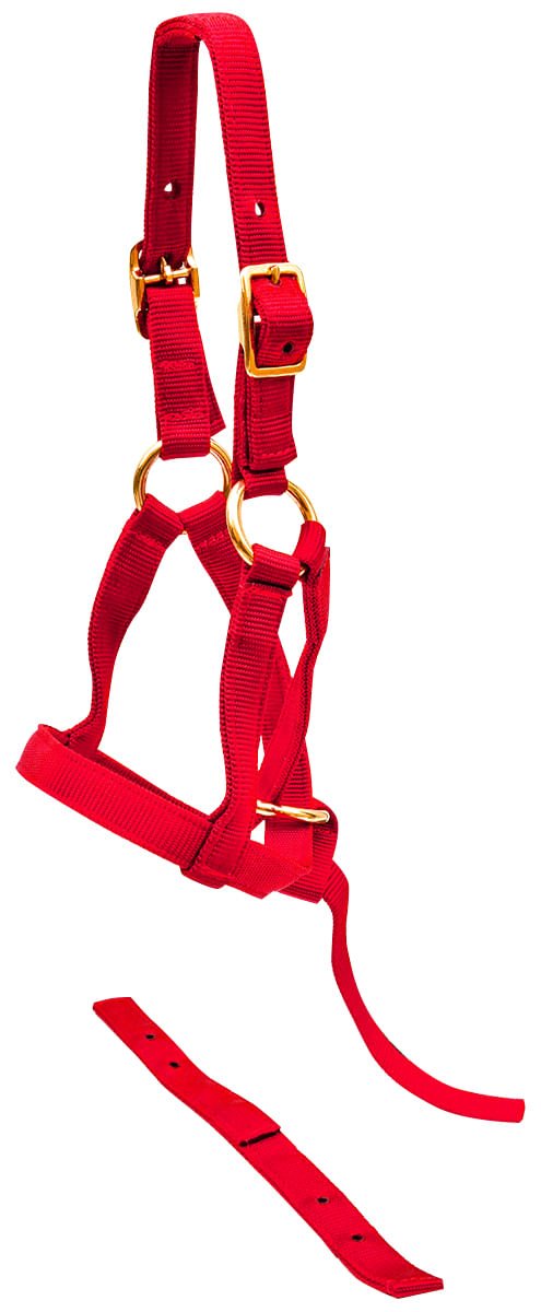 Jeffers Nylon "Grow With Me" Weanling Horse Halter, 3/4"W - Multi Colors