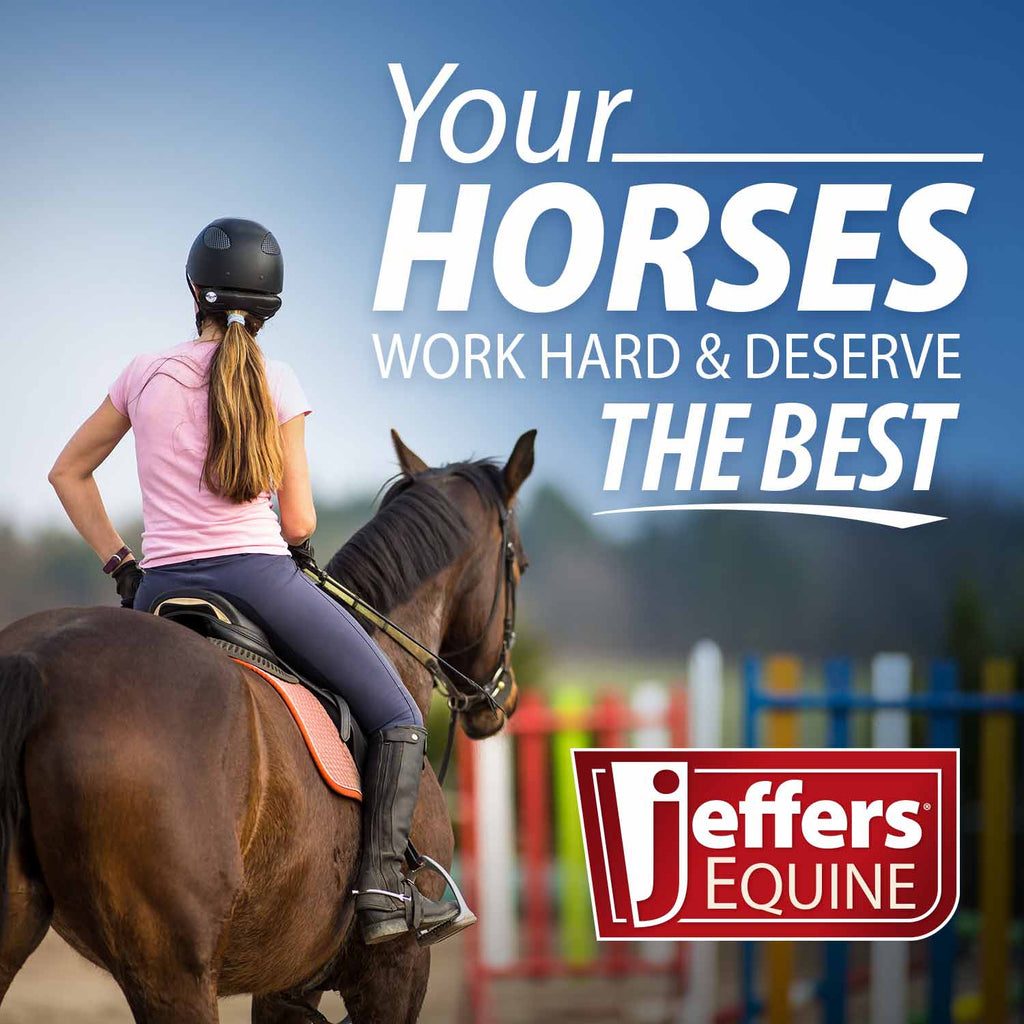 Jeffers Expression Horse Fan Bag - Pick Your Design!
