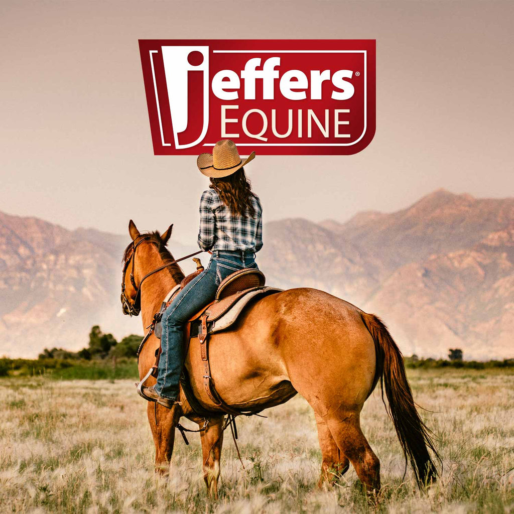 Jeffers Expression Horse Grooming Tote - Pick Your Design!