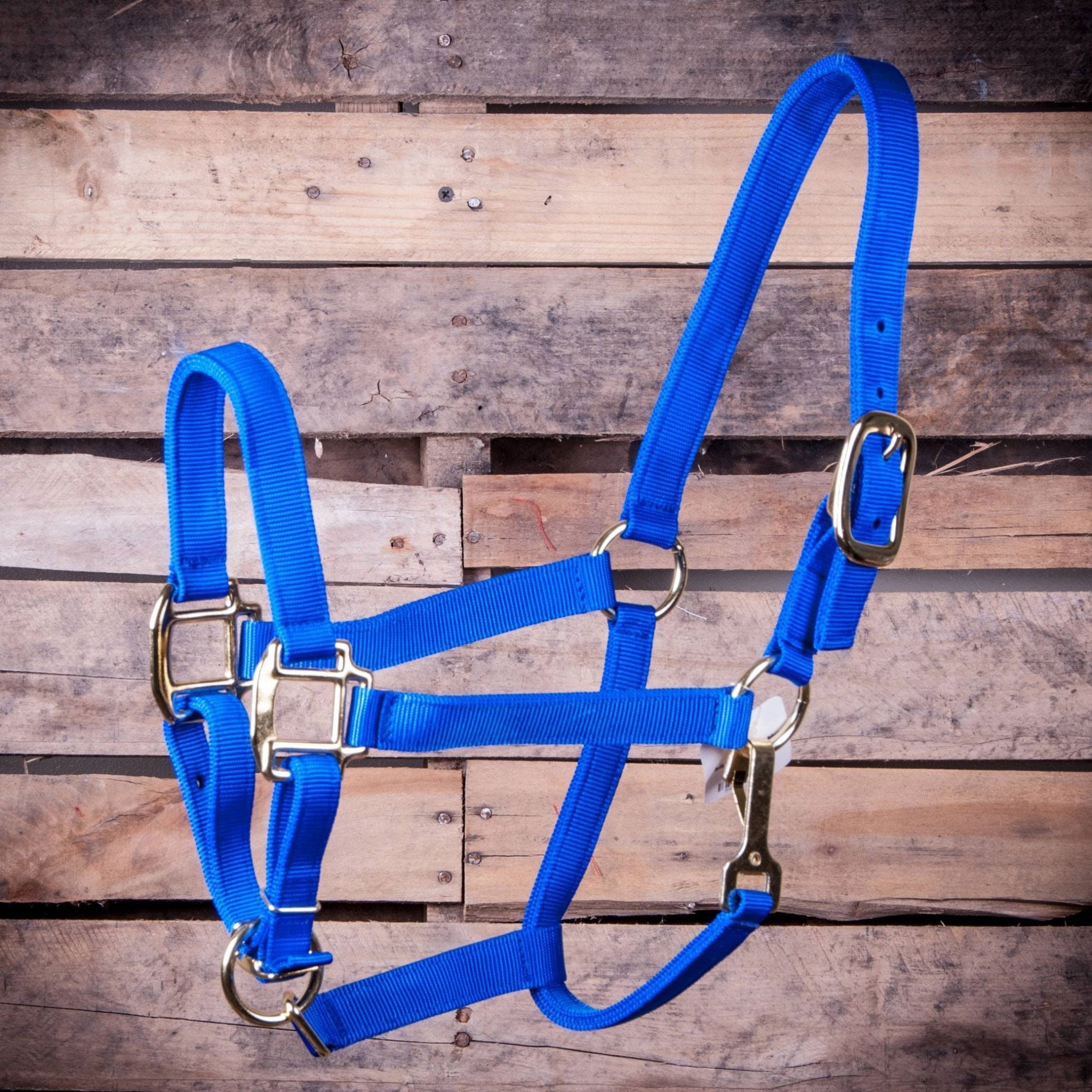 Jeffers Adjustable Halter with Throat Snap - Multiple Colors