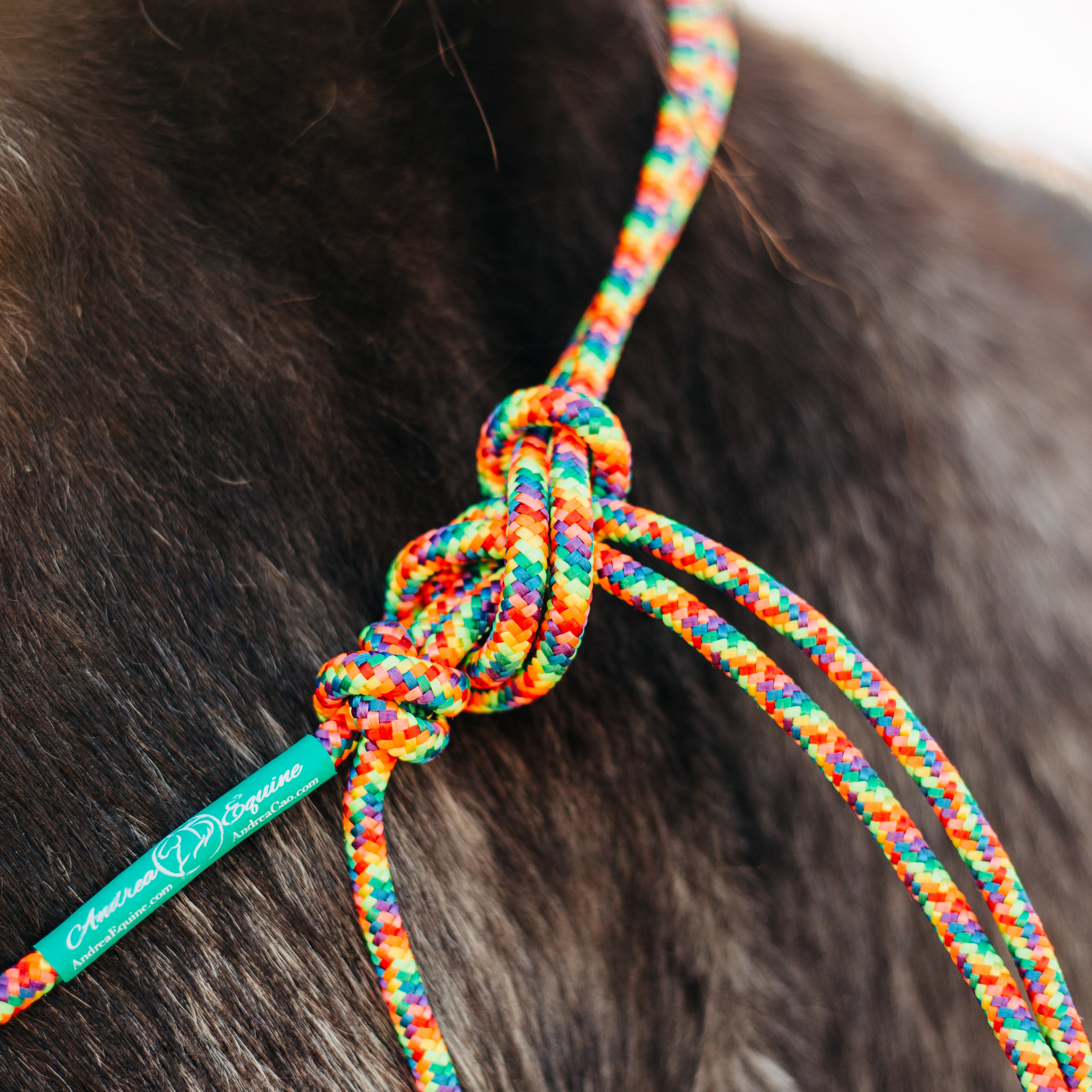 Stiff 4 Knot Clinician Training Halter - 10 Colors!