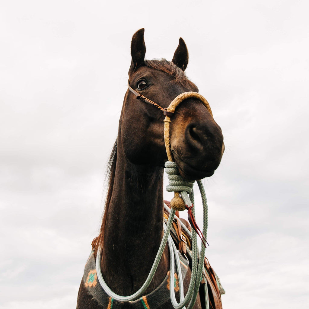 22 Ft Clinician Mecate Reins - 17 Colors!