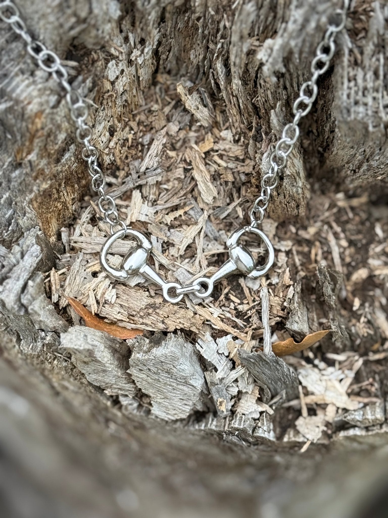 The Snaffle Bit Silver Chain Necklace