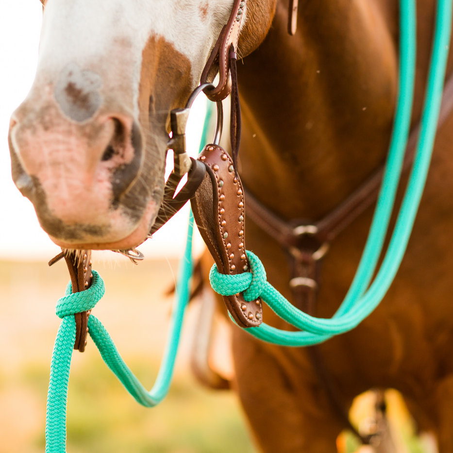22 Ft Clinician Mecate Reins - 17 Colors!