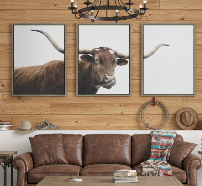 Texas Longhorn Cow Lick 3 Piece Framed Canvas by The Creative Bunch Studio