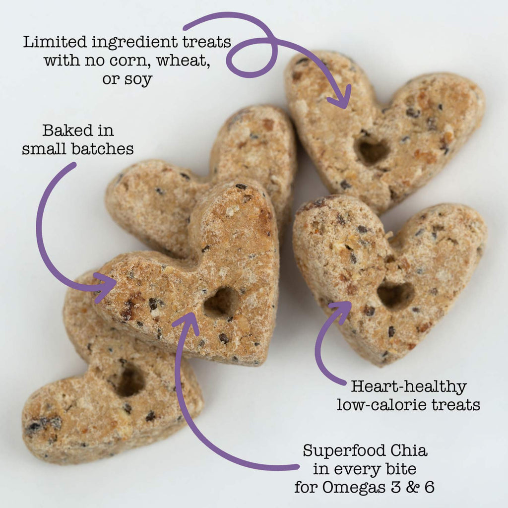 Wonder Bark | All Natural Grain-Free Dog Treats - Multiple Flavors To Choose From!