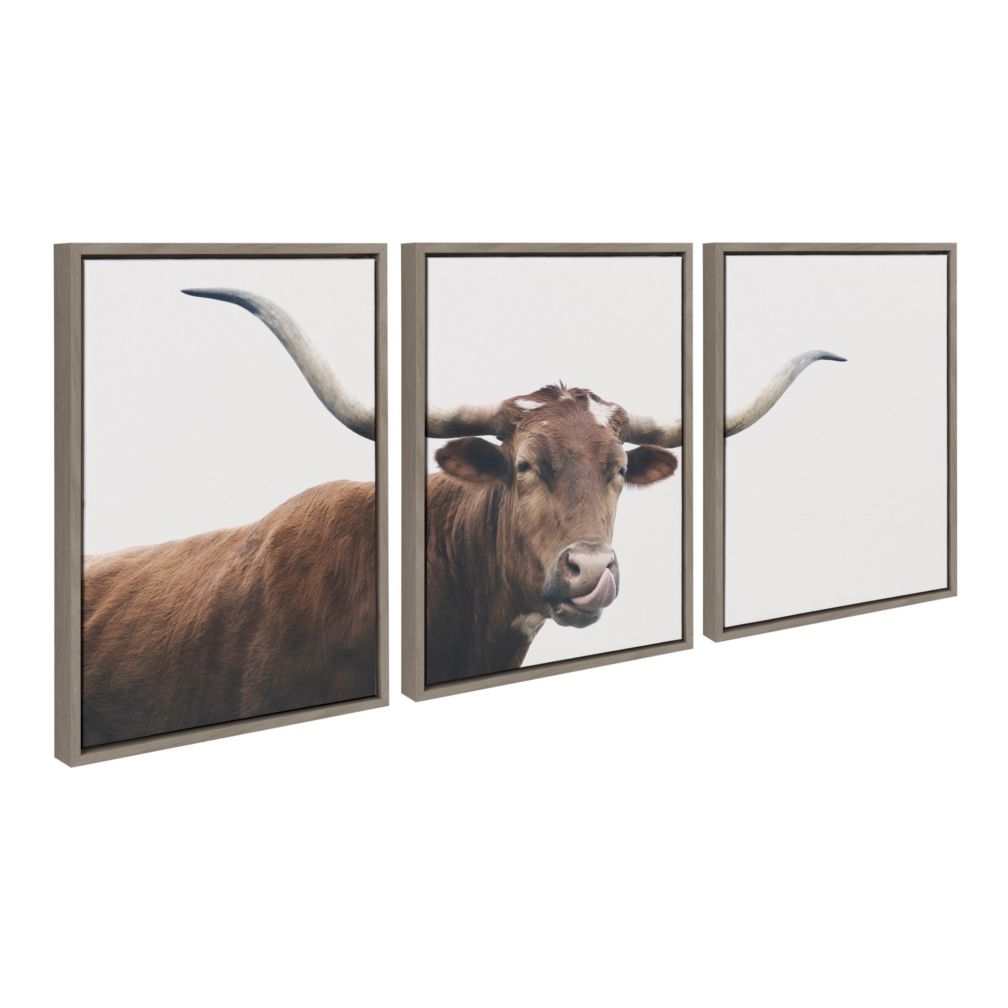 Texas Longhorn Cow Lick 3 Piece Framed Canvas by The Creative Bunch Studio